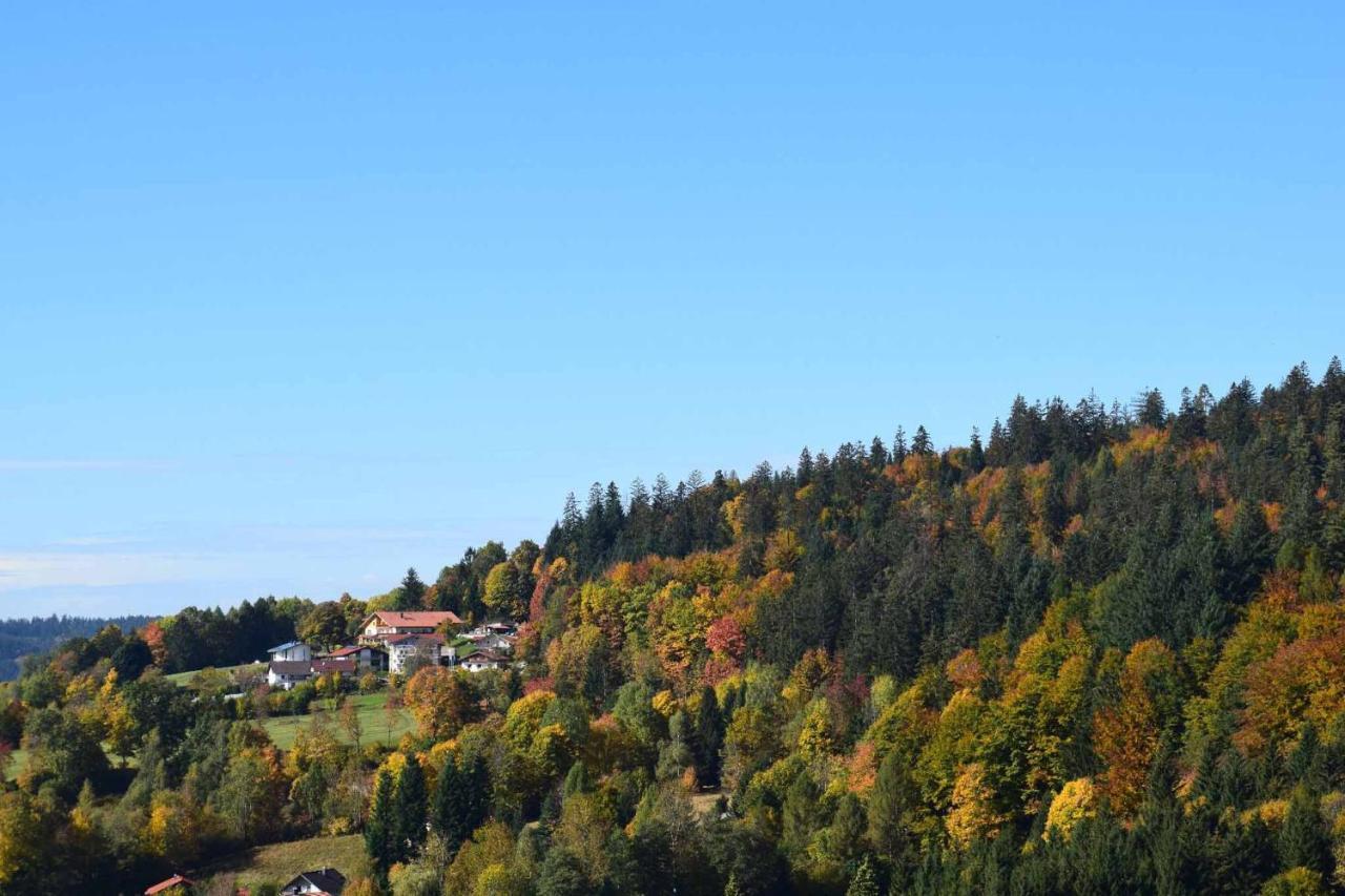 Ferienwohnungen Geiger โบเดนไมส์ ภายนอก รูปภาพ
